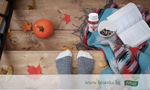 Хуминовите киселини: естествена защита на организма през есента