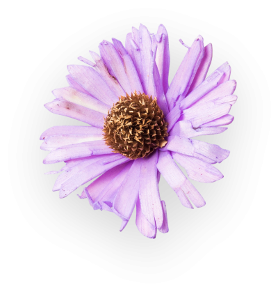 натурална био козметика