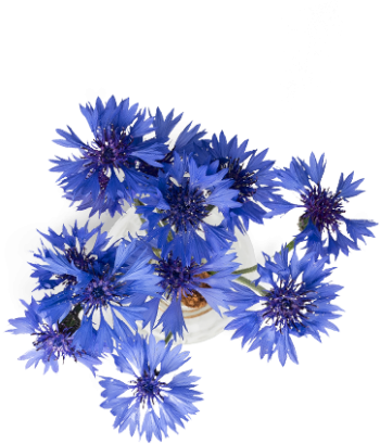 био продукти